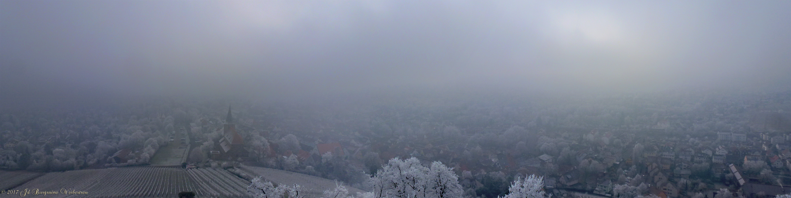 Sicht von 8-eck-Turm aus; rechts über Weinsberg