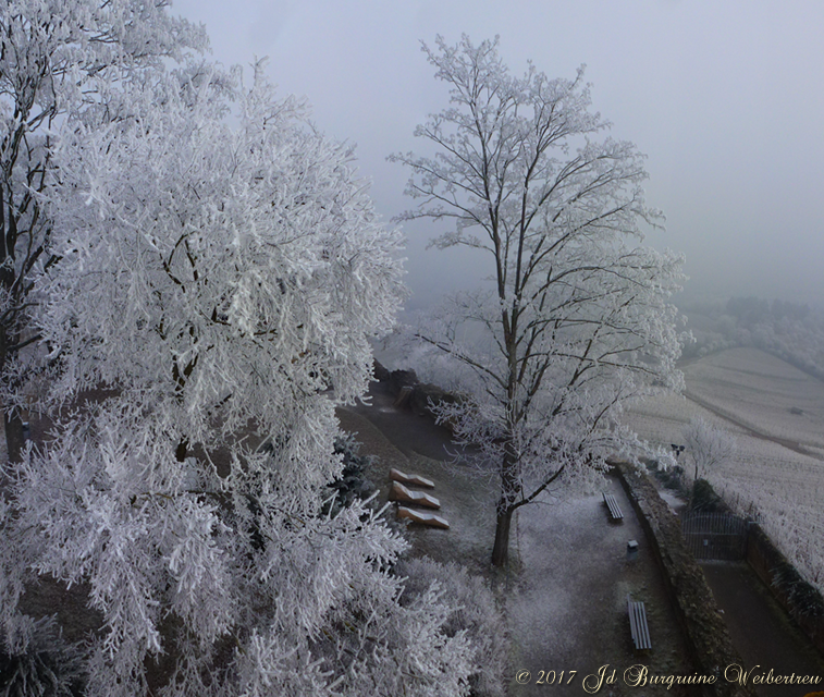 Blick vom 8-eck-Turm 05