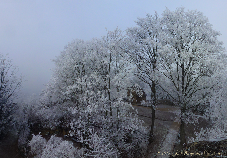 Blick vom 8-eck-Turm 03