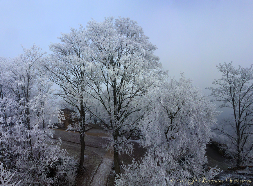 Blick vom 8-eck-Turm 04