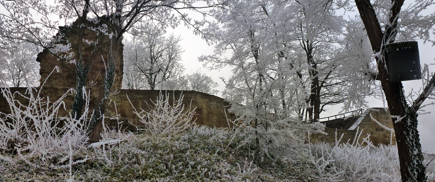 Hinterer Bereich; Blick auf Burgfried 01