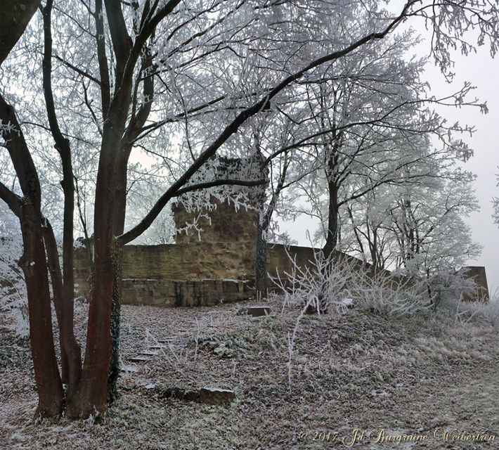 Hinterer Bereich; Blick auf Burgfried 02