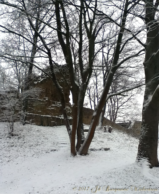 Bergfried, Sicht von hinterem Burgplatz